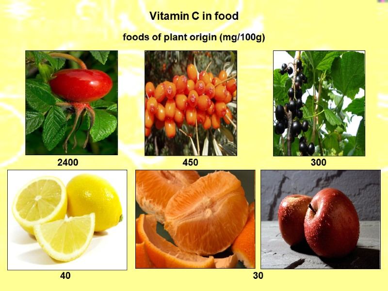 Vitamin C in food foods of plant origin (mg/100g) 2400 450 300 40 30